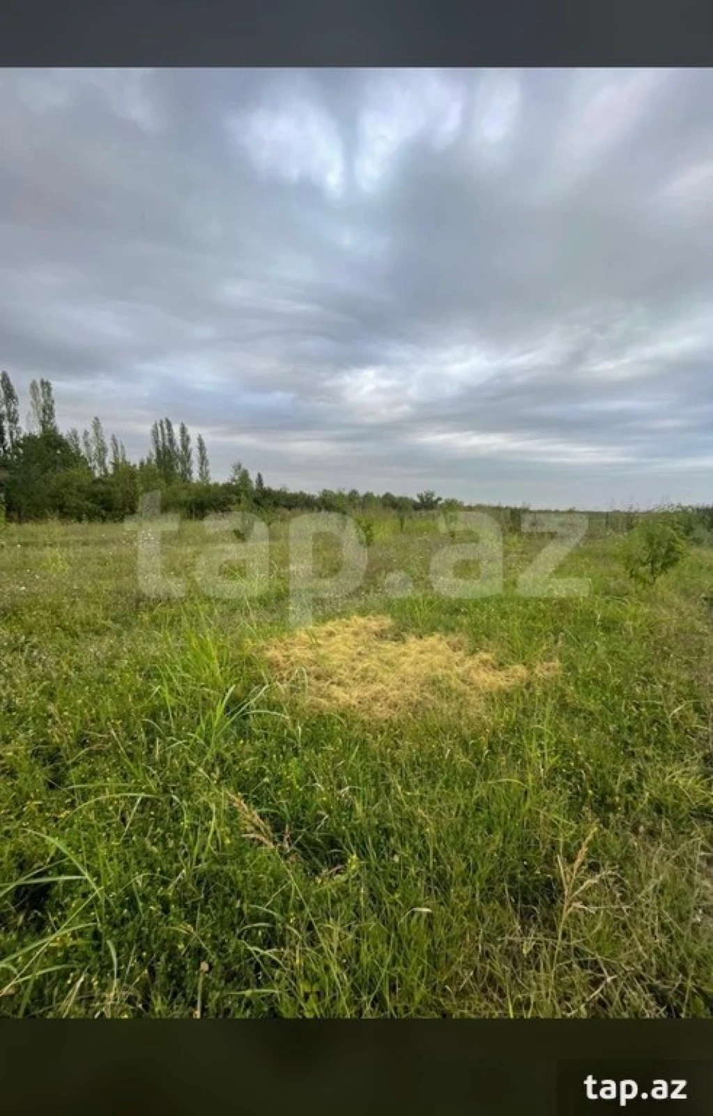 Satılır torpaq sahəsi
