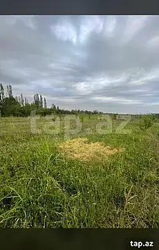 Satılır torpaq sahəsi — Qusar