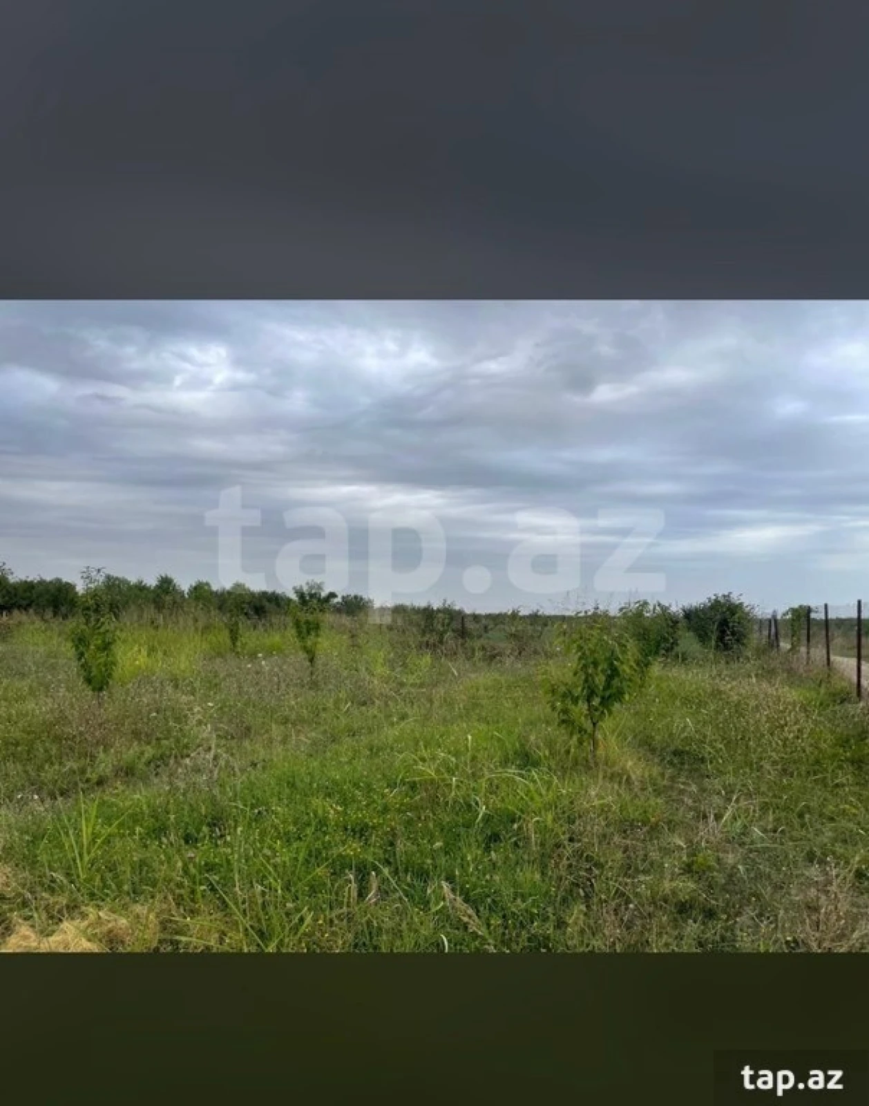 Satılır torpaq sahəsi