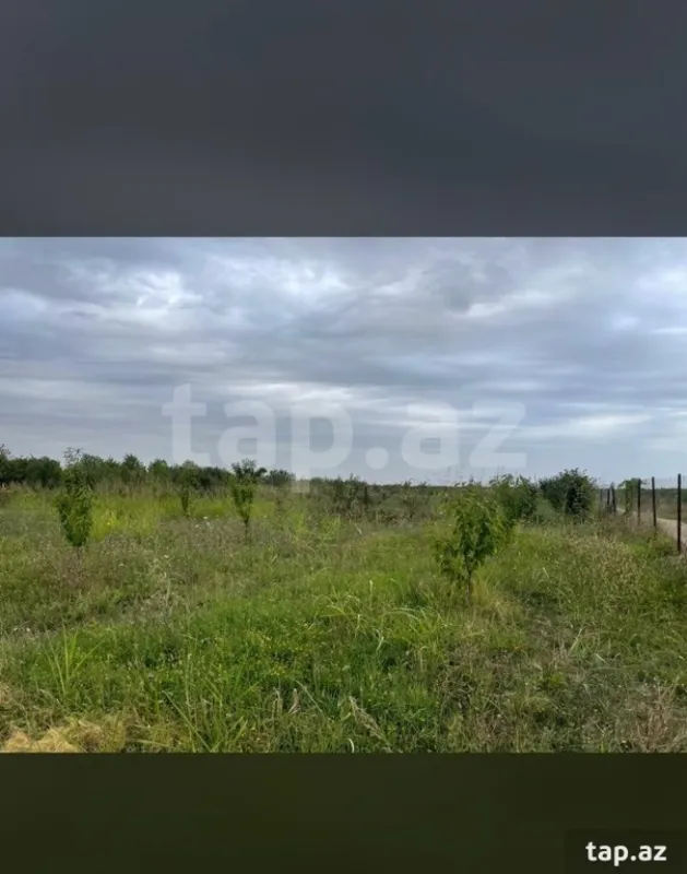 Satılır torpaq sahəsi