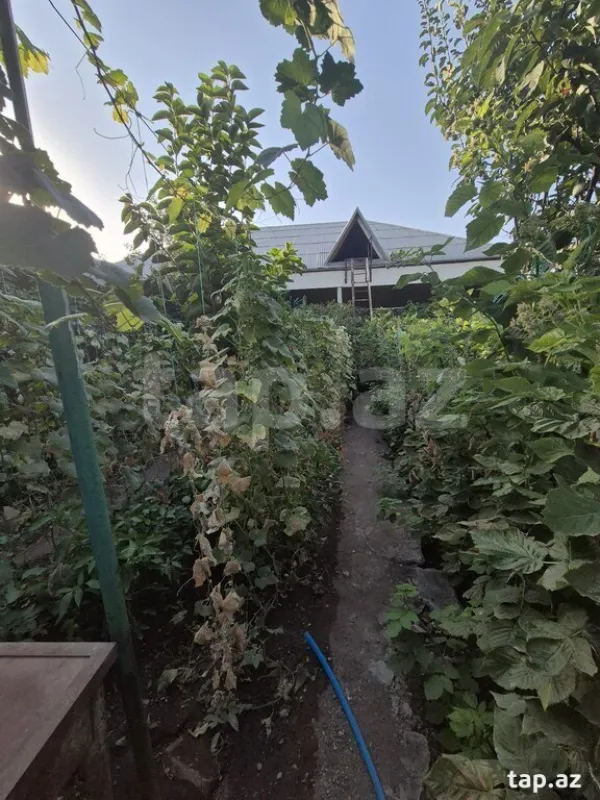 Satılır 9 otaqlı həyət evi