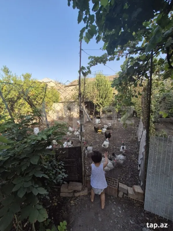 Satılır 9 otaqlı həyət evi