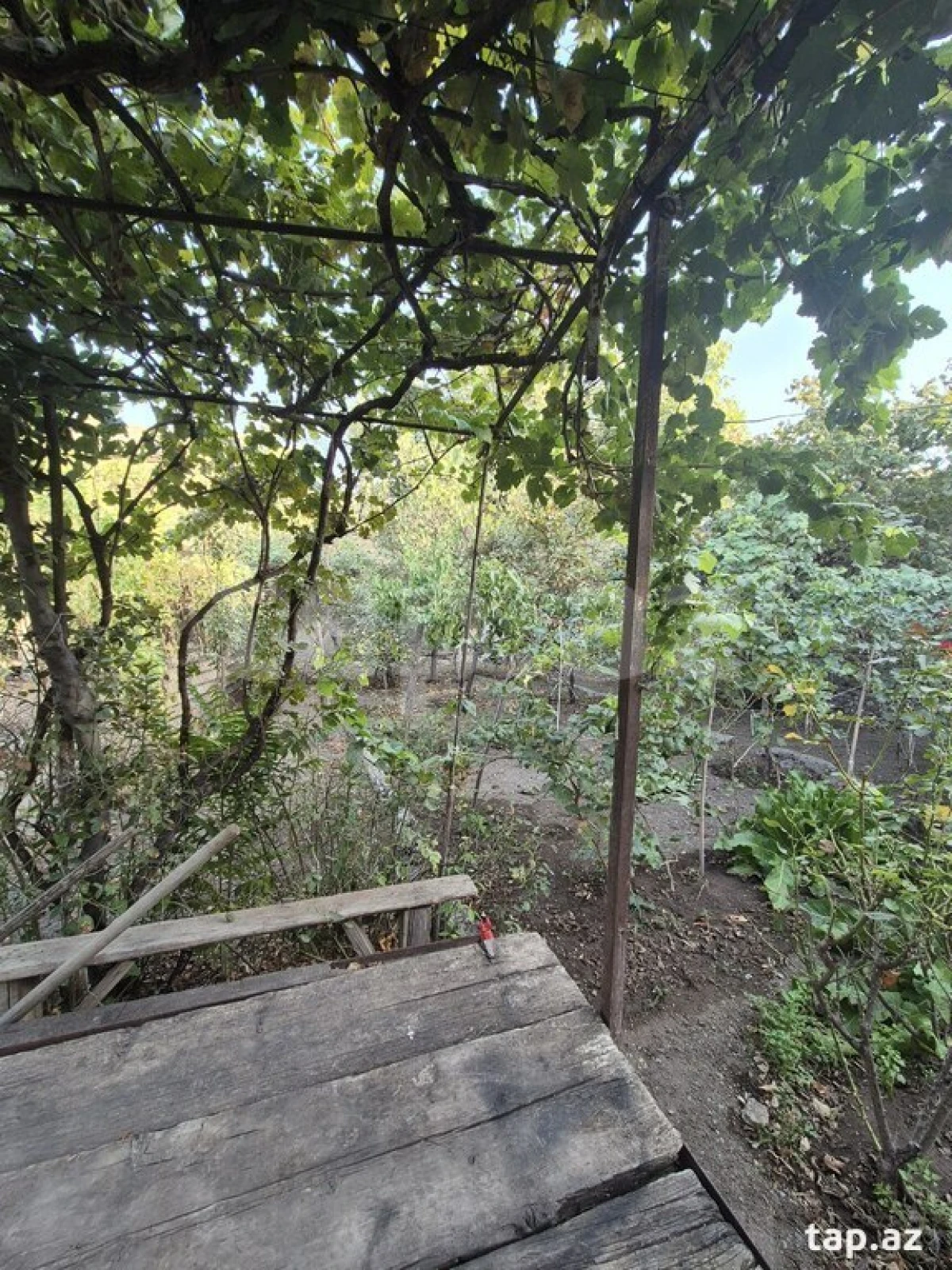 Satılır 9 otaqlı həyət evi