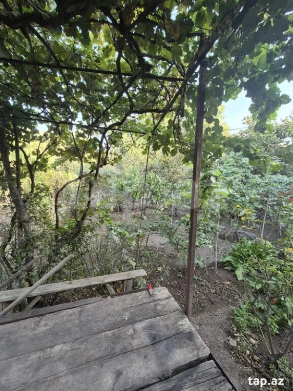 Satılır 9 otaqlı həyət evi