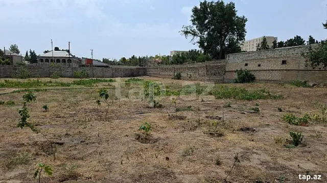 Satılır torpaq sahəsi