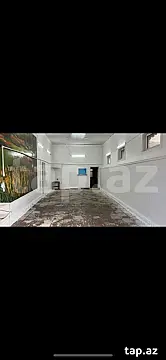 Kirayə verilir obyekt — Gəncə