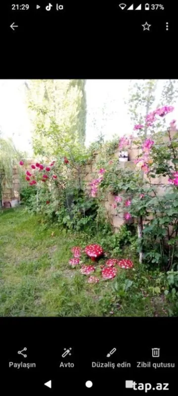 Kirayə verilir 3 otaqlı həyət evi 90 m²