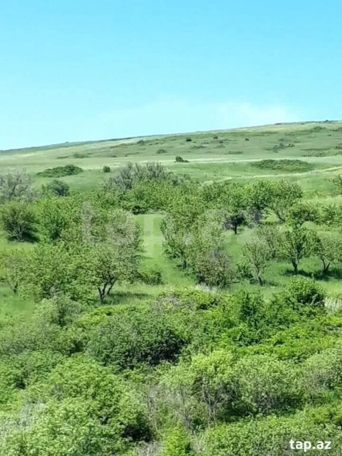 Satılır torpaq sahəsi