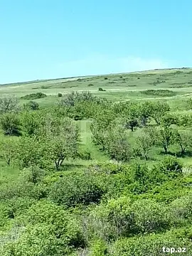 Satılır torpaq sahəsi — Şamaxı