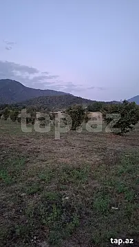 Satılır torpaq sahəsi — Qəbələ