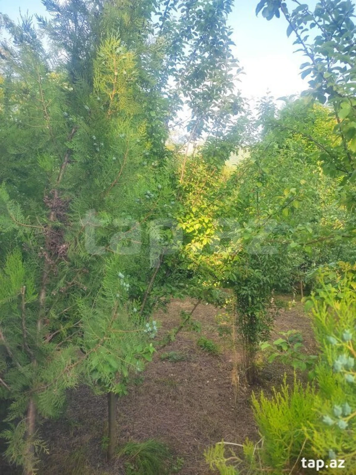 Kirayə verilir 2 otaqlı həyət evi