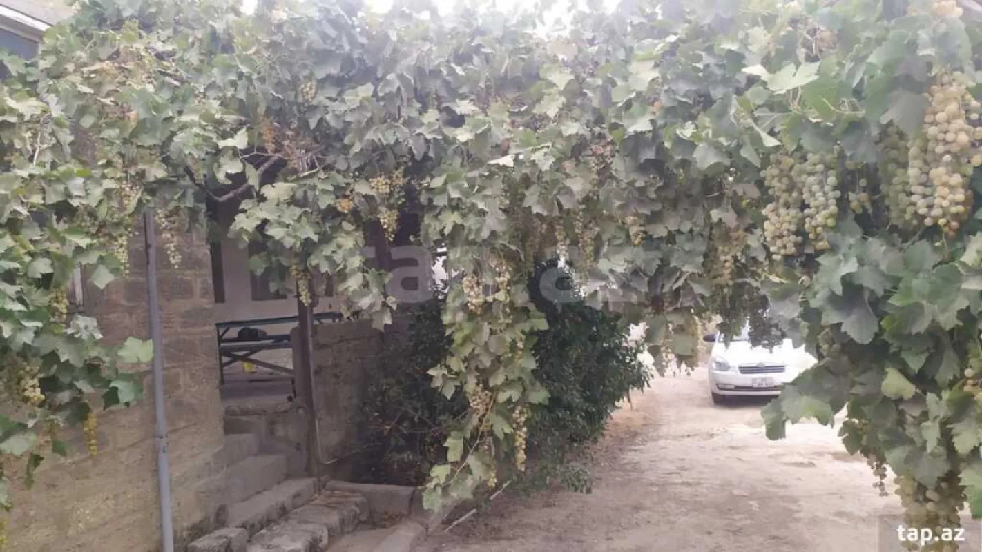Satılır 3 otaqlı həyət evi