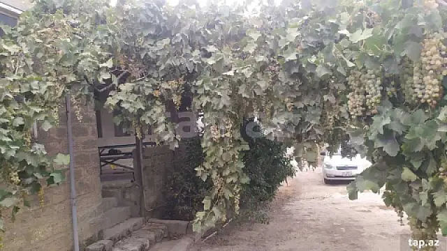 Satılır 3 otaqlı həyət evi