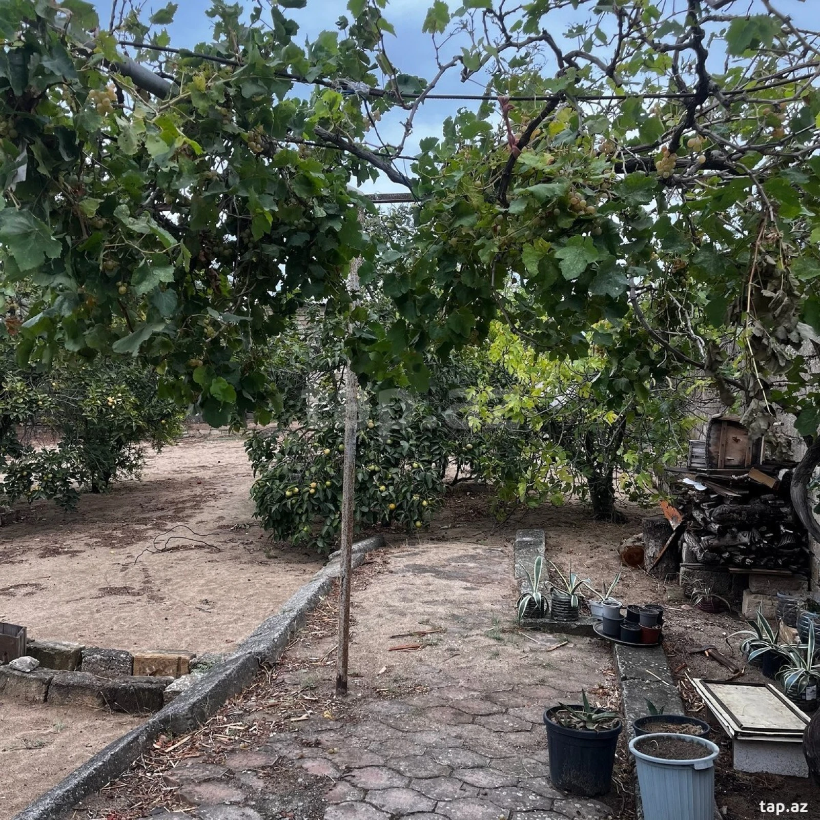 Satılır 5 otaqlı həyət evi