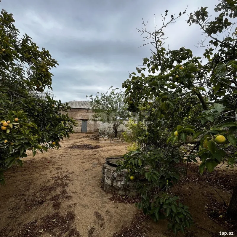 Satılır 5 otaqlı həyət evi