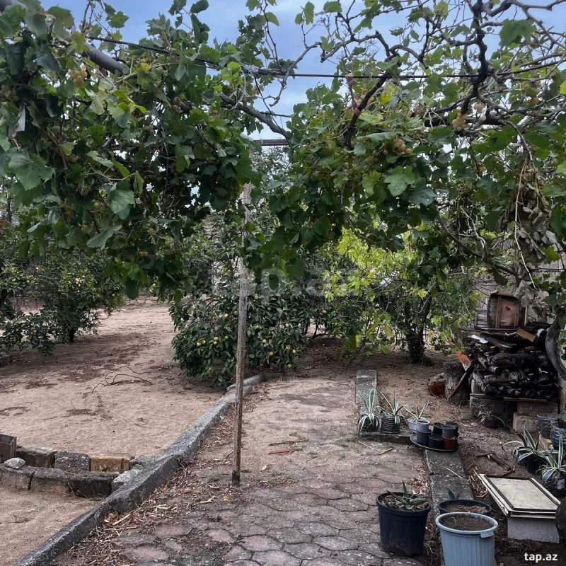 Satılır 5 otaqlı həyət evi