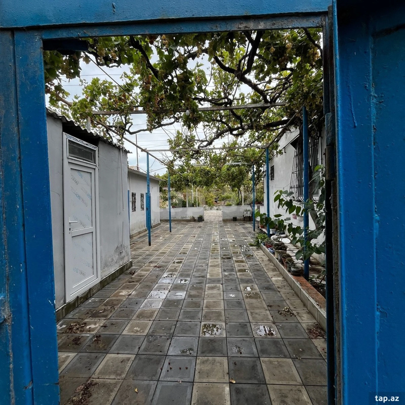 Satılır 5 otaqlı həyət evi