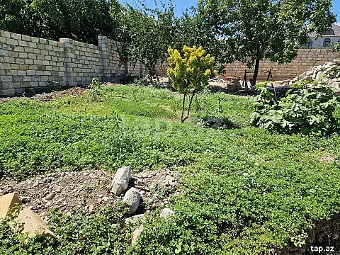 Satılır torpaq sahəsi — Gəncə