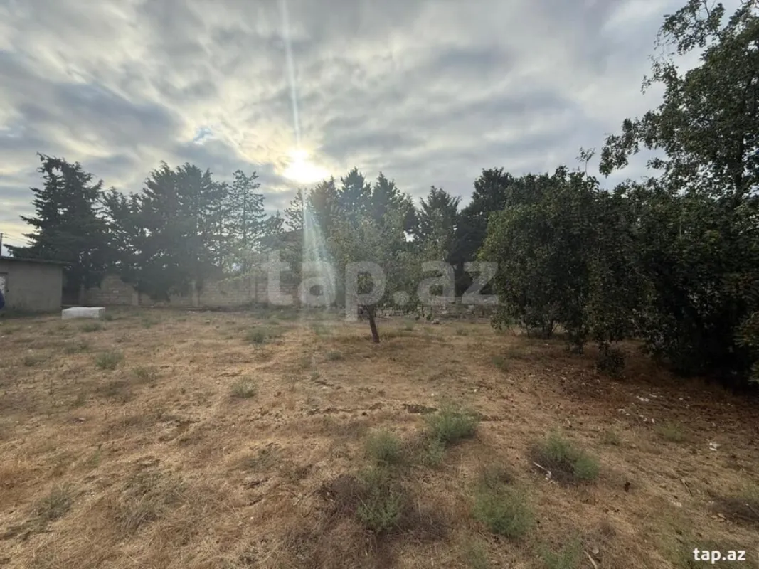 Satılır torpaq sahəsi