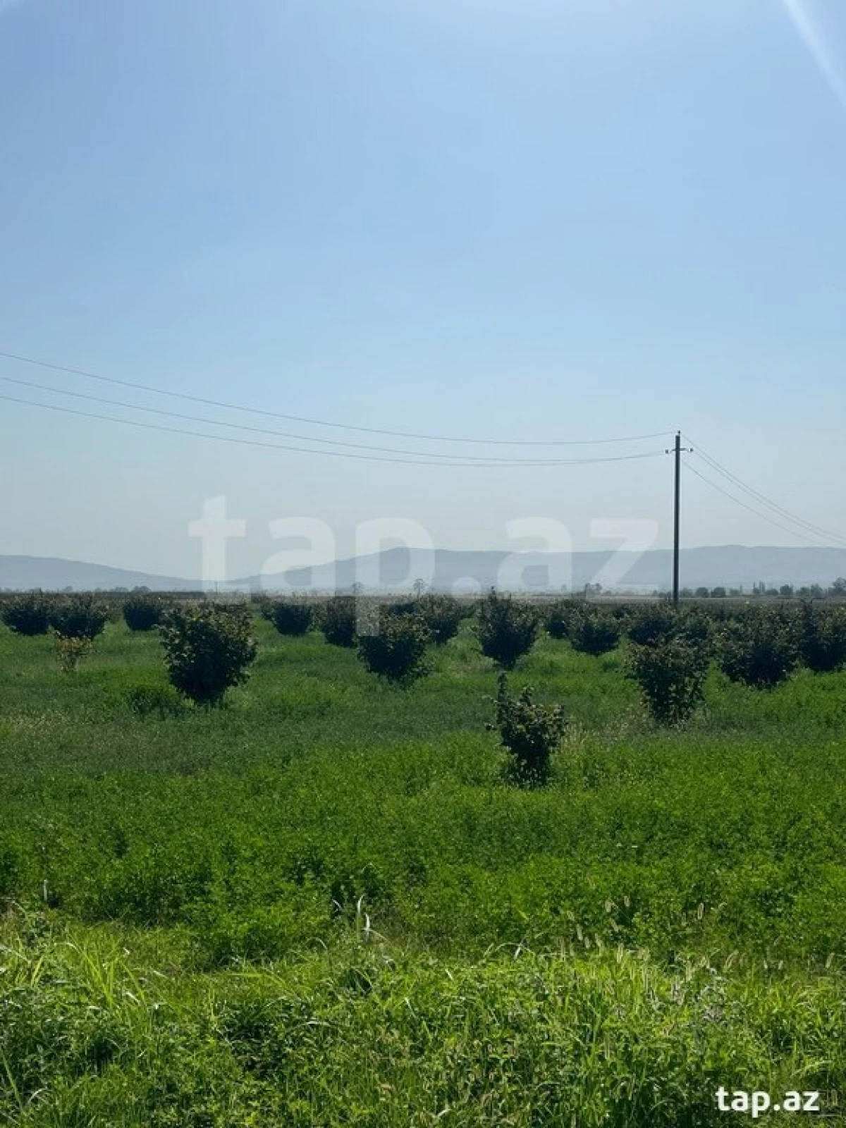 Satılır torpaq sahəsi