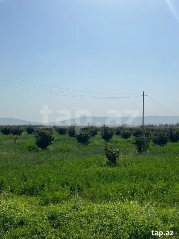 Satılır torpaq sahəsi