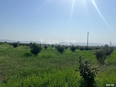 Satılır torpaq sahəsi