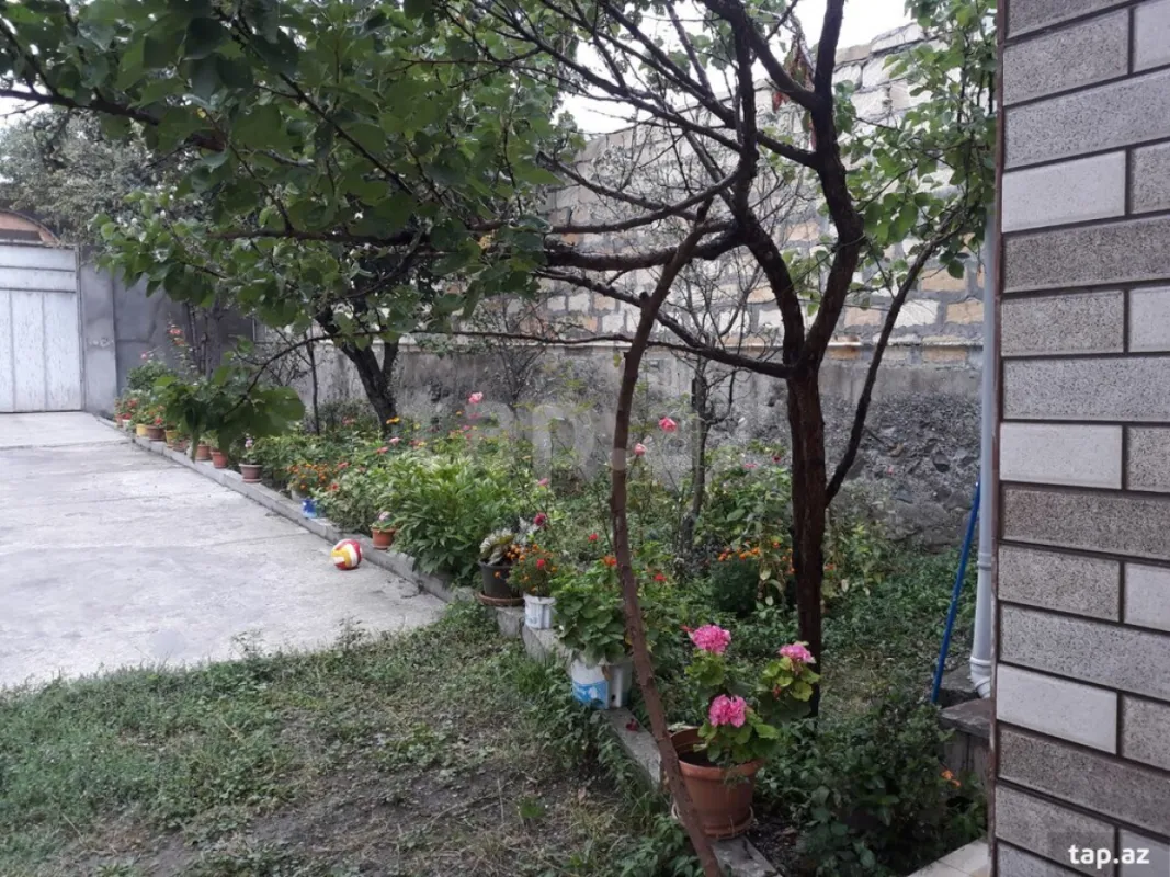 Kirayə verilir 5 otaqlı həyət evi 280 m²