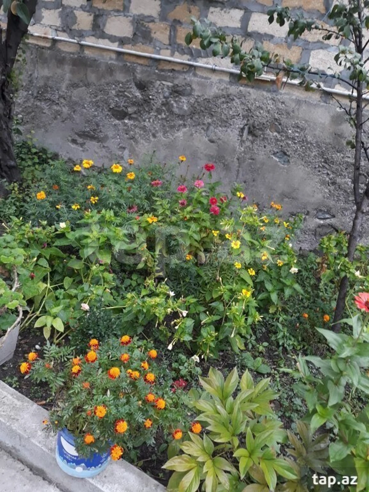 Kirayə verilir 5 otaqlı həyət evi 280 m²