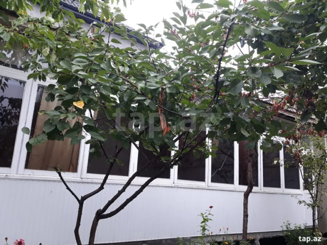 Kirayə verilir 5 otaqlı həyət evi 280 m²