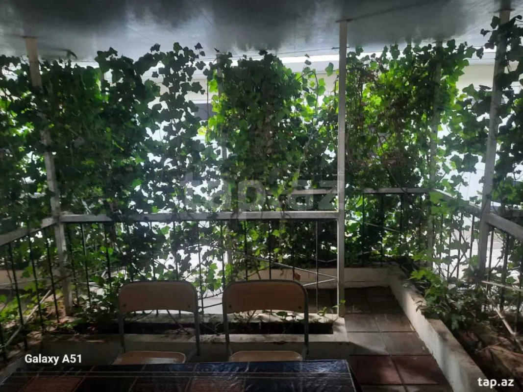 Kirayə verilir obyekt