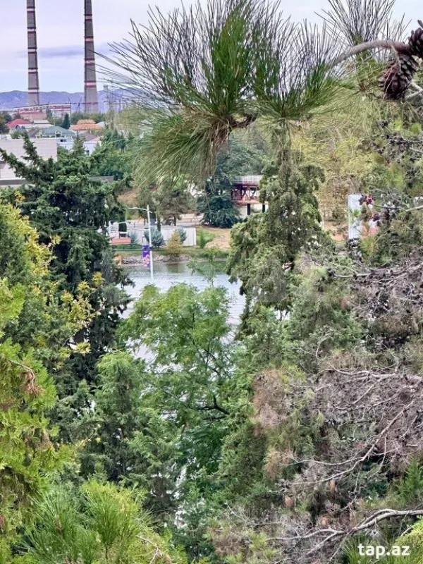 Kirayə verilir 3 otaqlı yeni tikili 50 m²