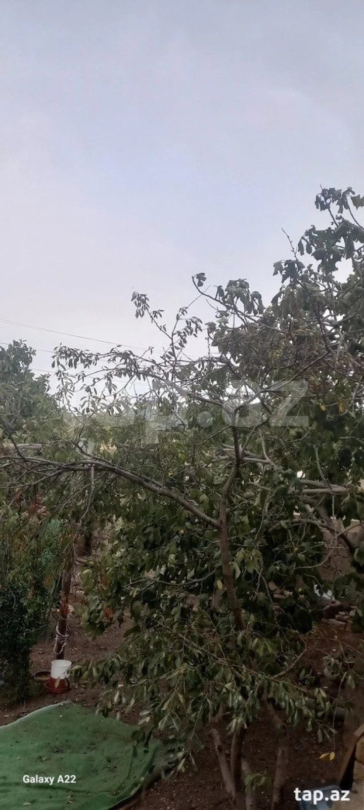 Satılır 3 otaqlı həyət evi