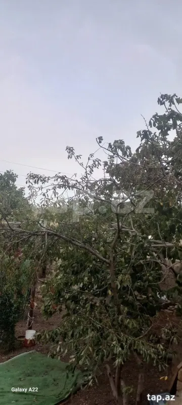 Satılır 3 otaqlı həyət evi