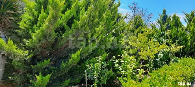 Kirayə verilir 9 otaqlı həyət evi