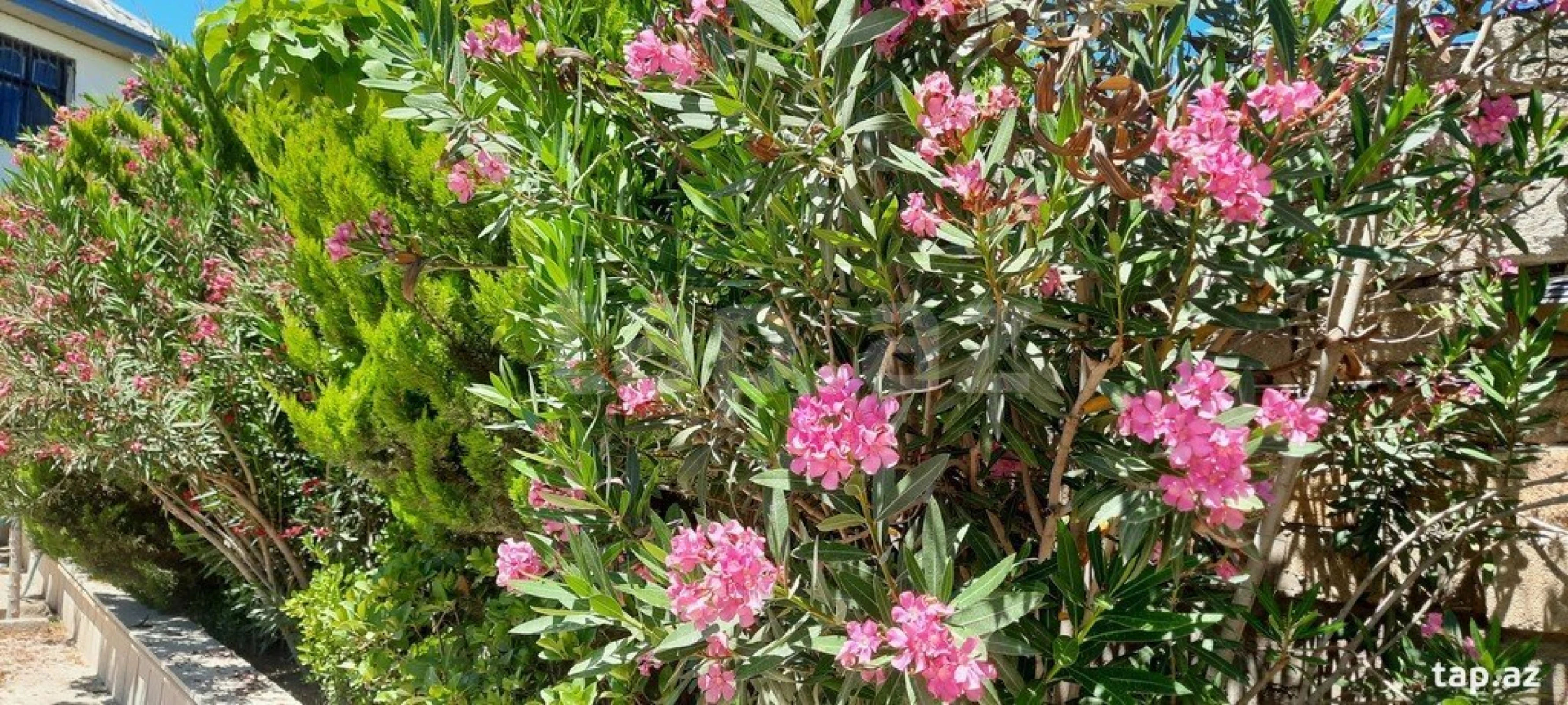 Kirayə verilir 9 otaqlı həyət evi