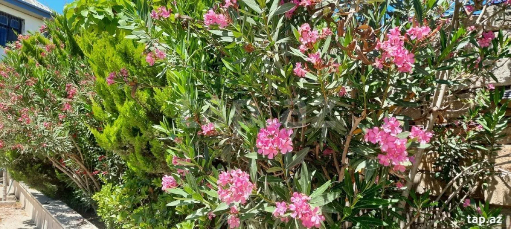 Kirayə verilir 9 otaqlı həyət evi