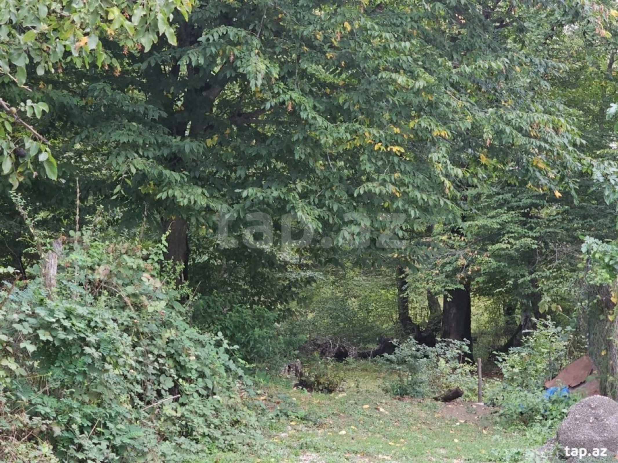 Satılır 3 otaqlı həyət evi