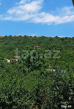 Satılır torpaq sahəsi — Şamaxı