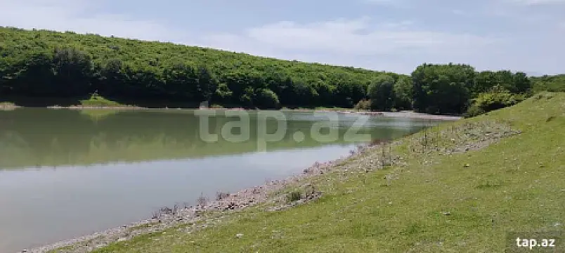 Satılır torpaq sahəsi — Quba