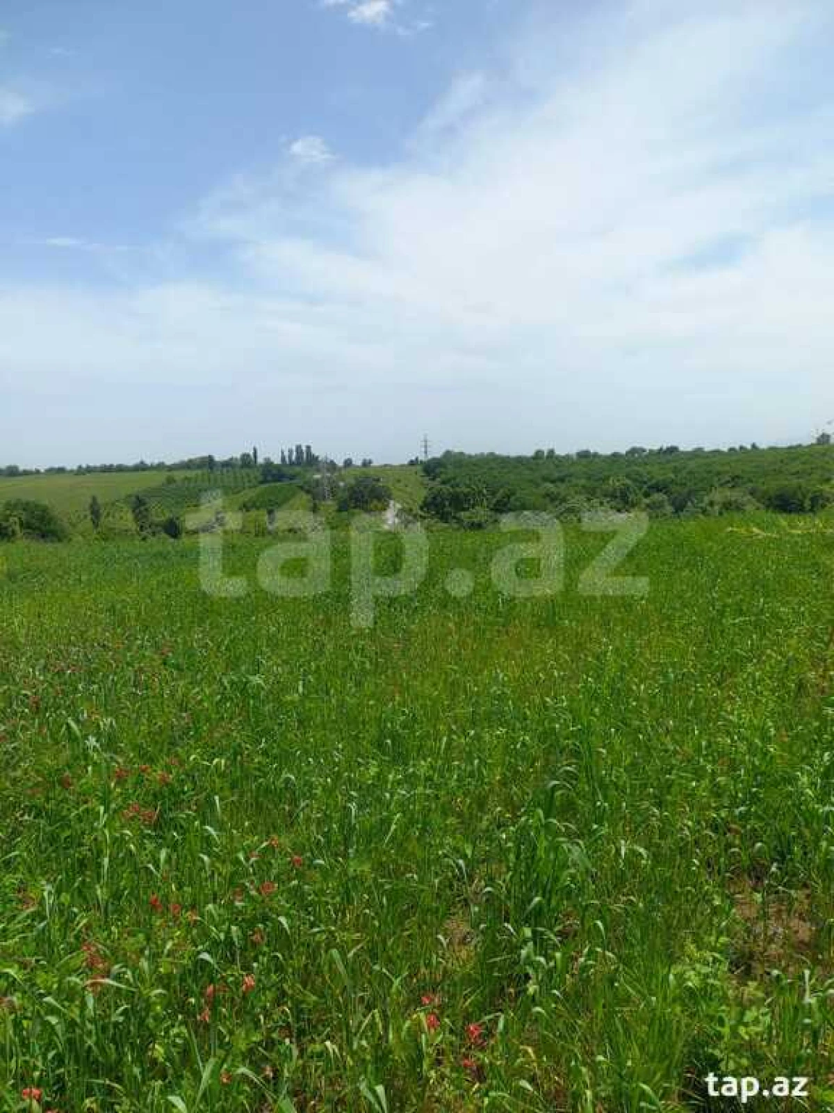 Satılır torpaq sahəsi