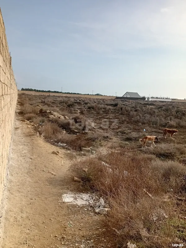 Satılır torpaq sahəsi