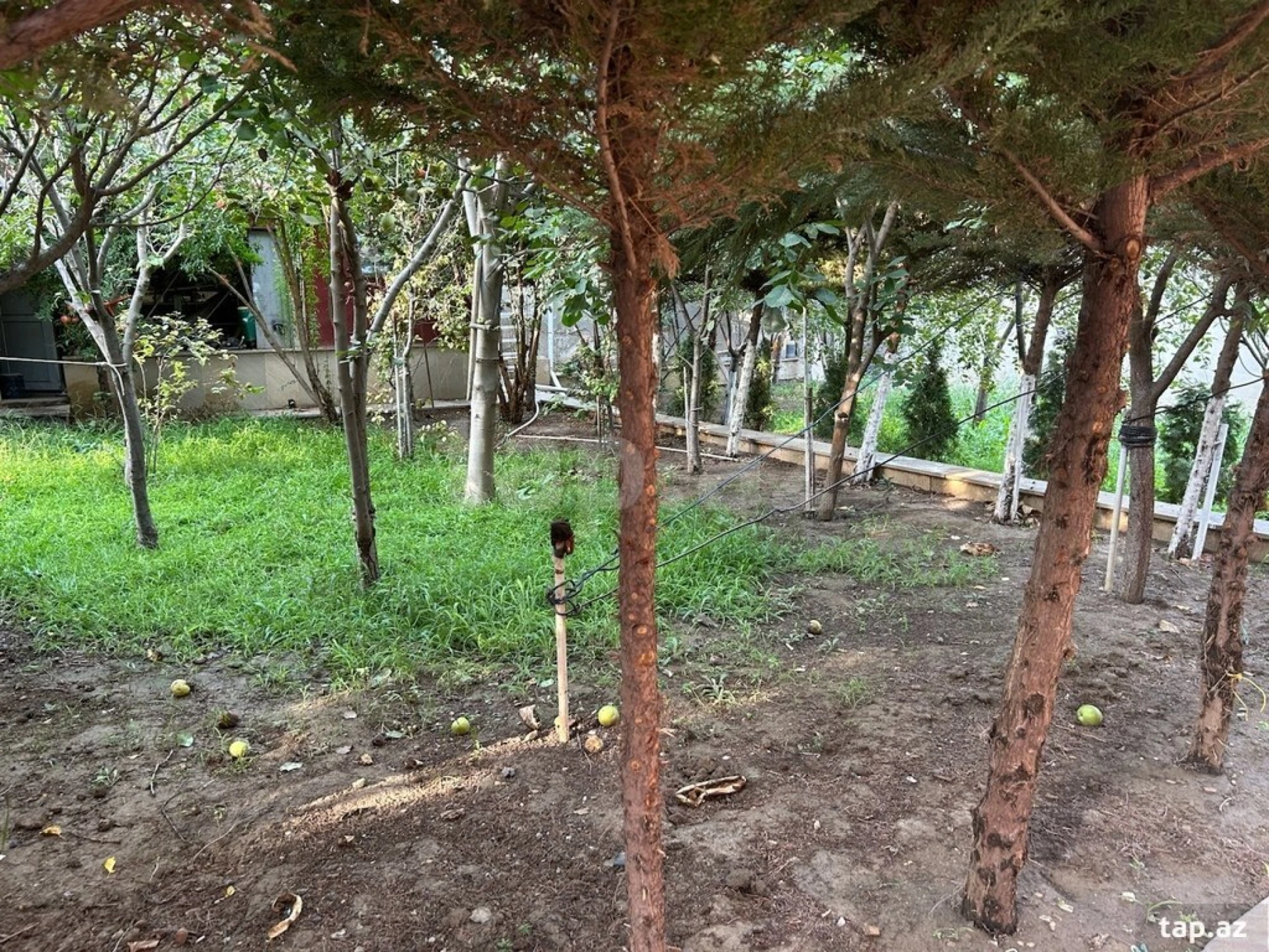 Satılır 6 otaqlı həyət evi 150 m²