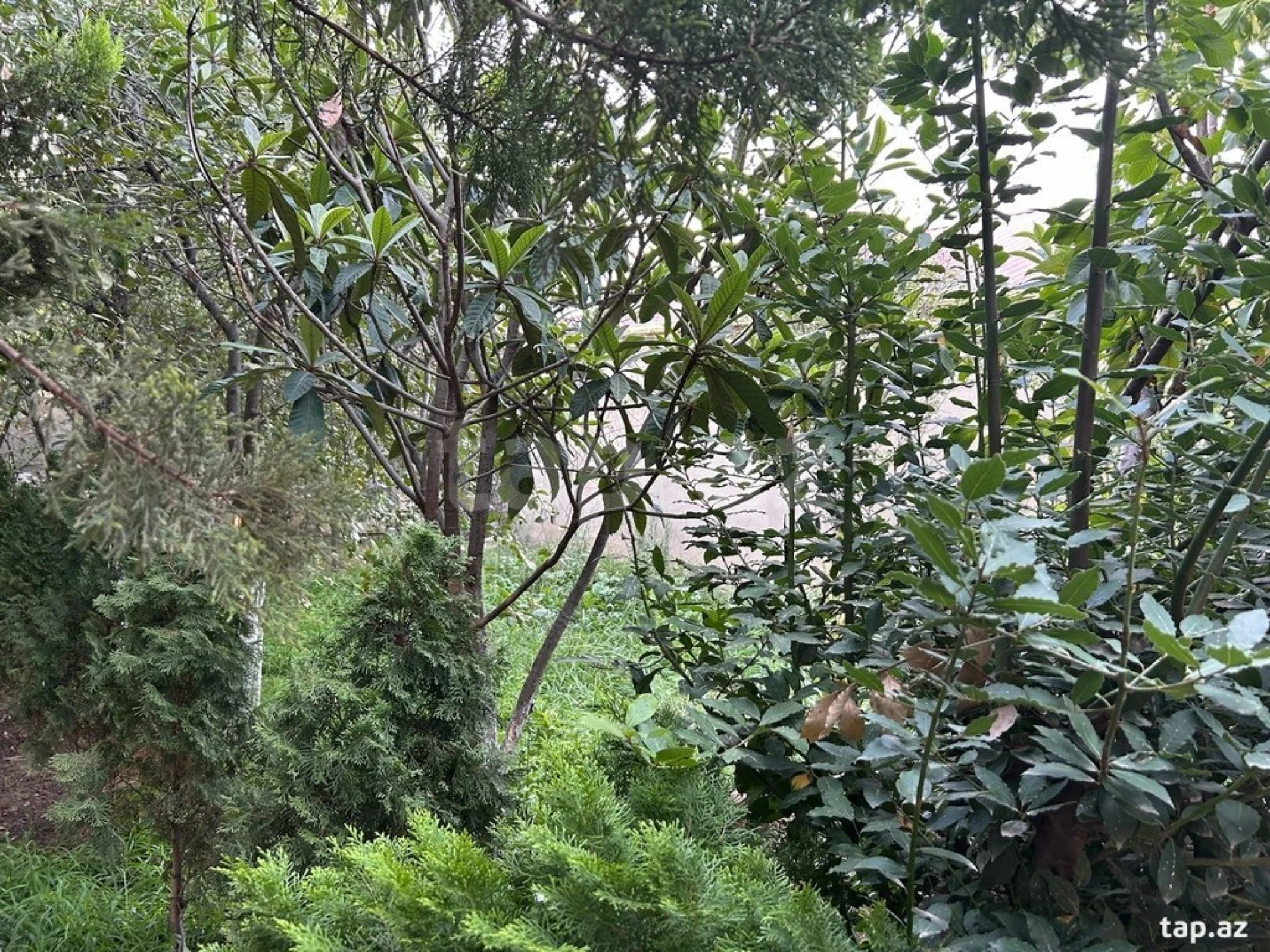 Satılır 6 otaqlı həyət evi 150 m²