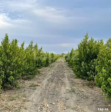 Satılır torpaq sahəsi — Bakı