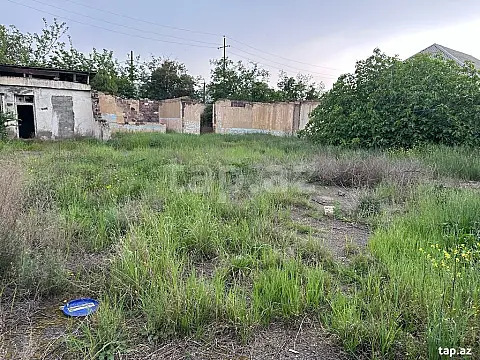 Satılır torpaq sahəsi — Gəncə