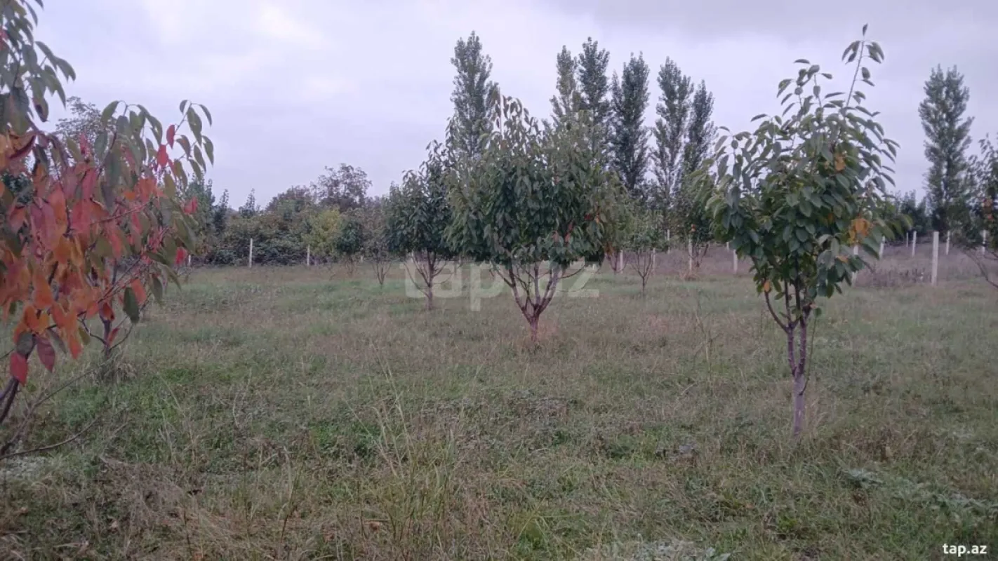 Satılır torpaq sahəsi