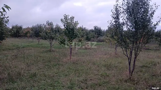 Satılır torpaq sahəsi — Qusar