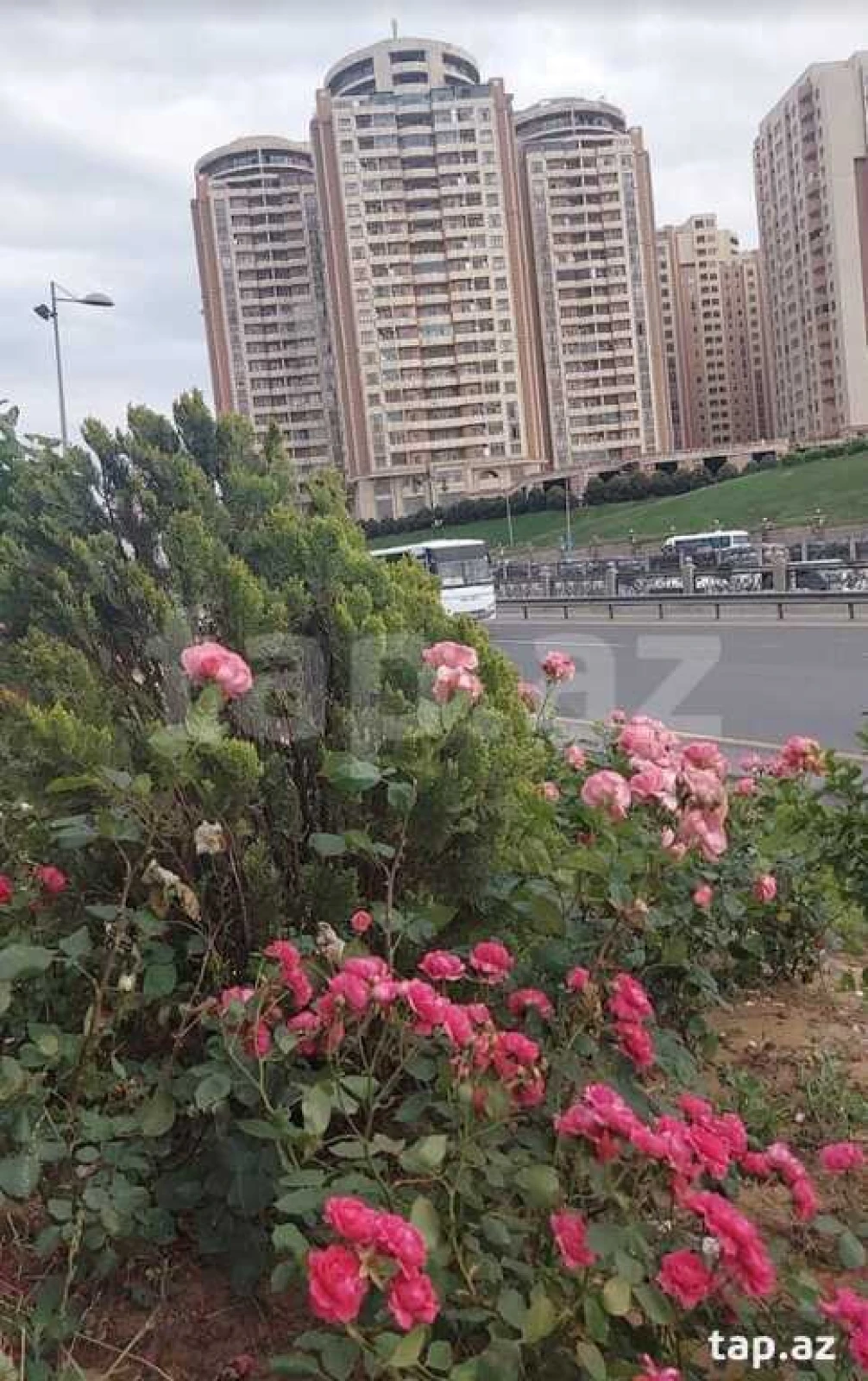 Satılır 3 otaqlı yeni tikili 124 m²