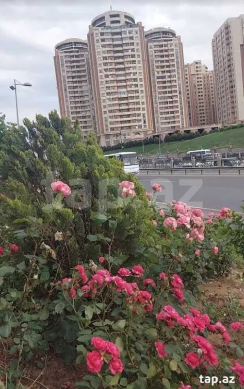 Satılır 3 otaqlı yeni tikili 124 m²