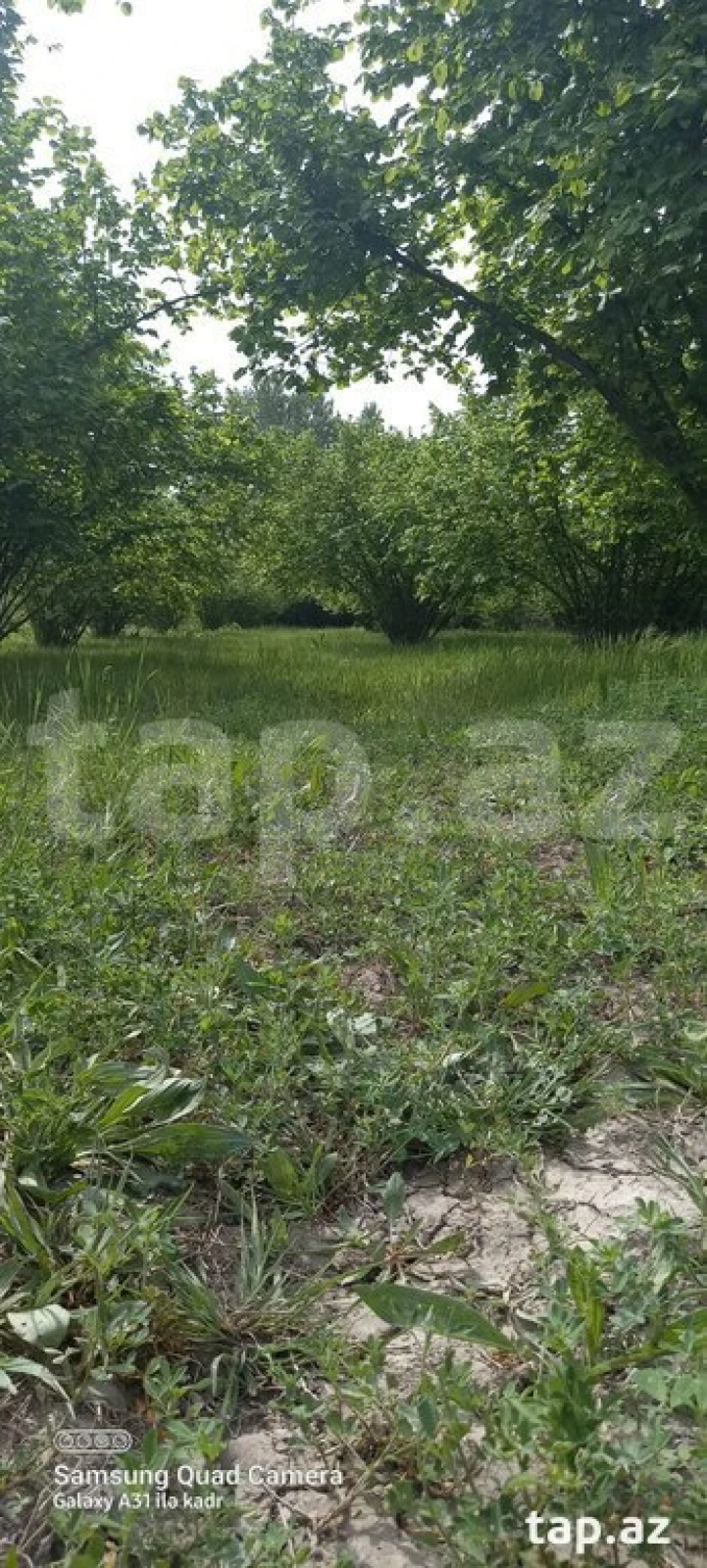 Satılır torpaq sahəsi